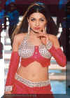 meera05.jpg (30952 bytes)